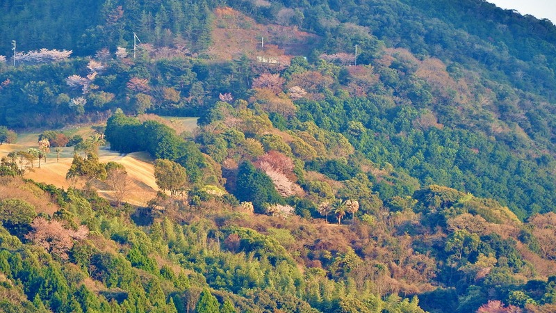 DSCN2063