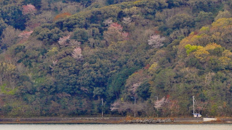 DSCN2076