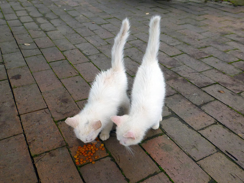 201306211353
