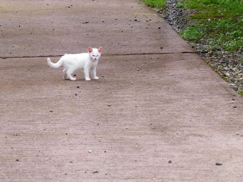201306211351