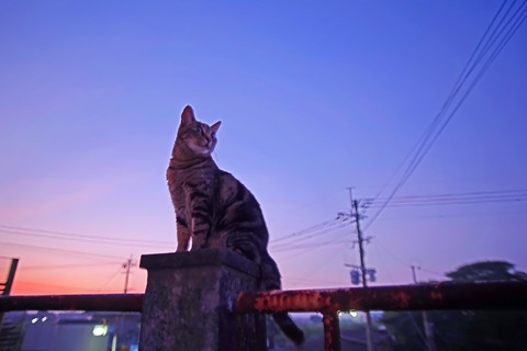 201607211945