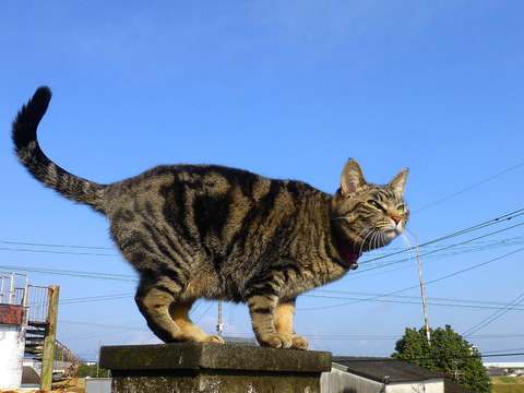 201402200932