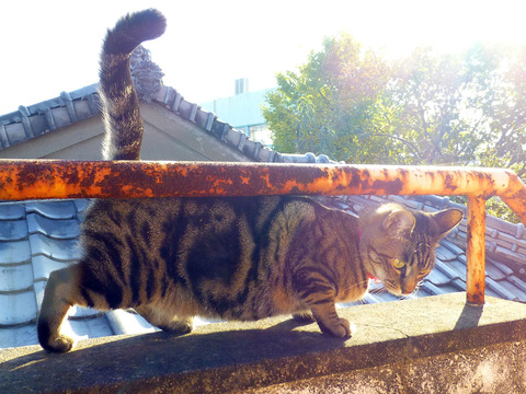 201311230933