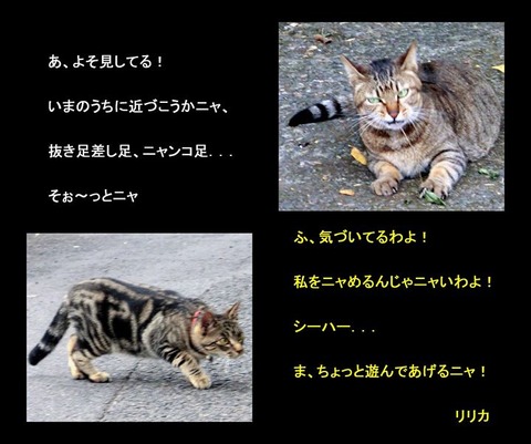 20120525