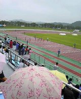 d7748109.jpg