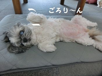 CIMG0711