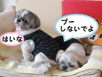 CIMG9658
