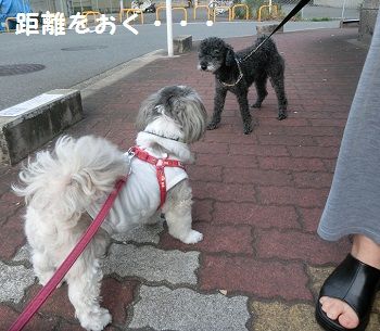 CIMG0753