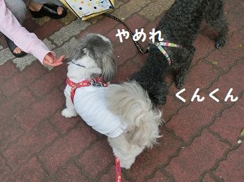 CIMG0754