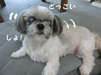 CIMG0712