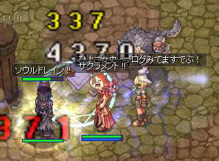 ひよこ女史さん