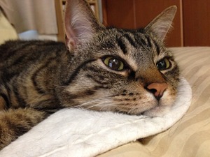 IMG_2789