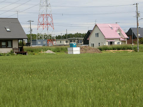 resize3831