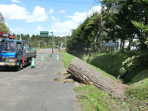 resize4524