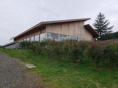 resize4647