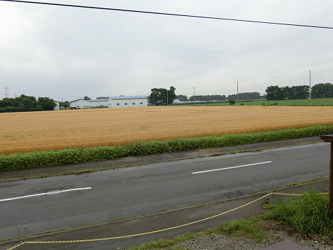 resize3843