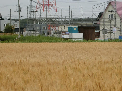 resize3839