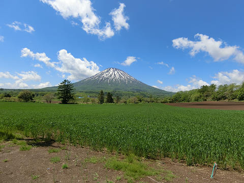 resize4140