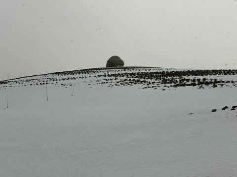 resize4841