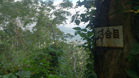 resize4498