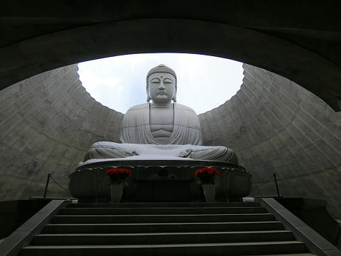 resize4851