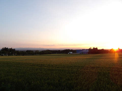 resize3149