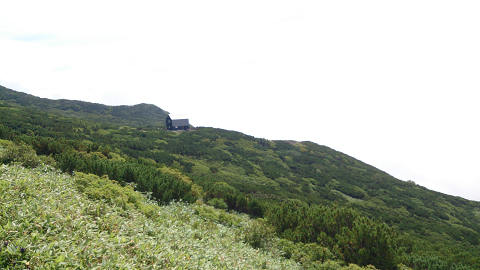 resize4506