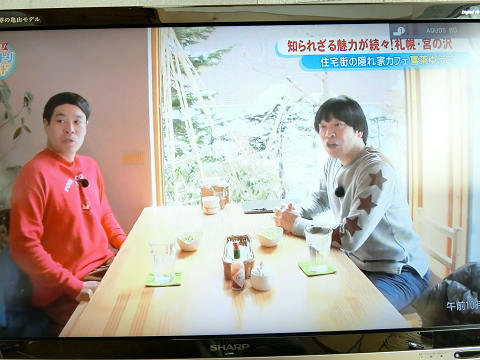resize4080