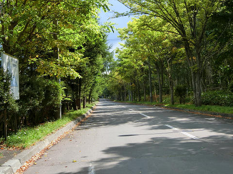 resize4029