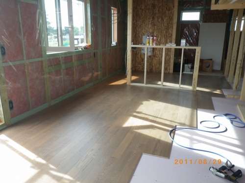 0_IMGP0907