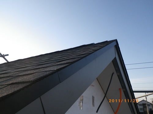 IMGP3398