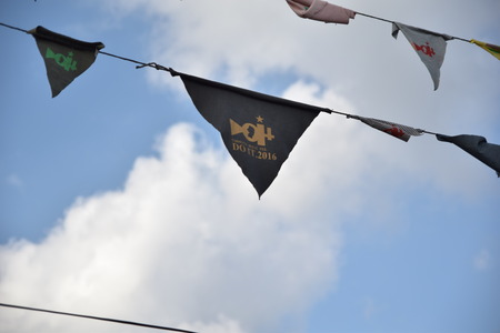 DSC_8486