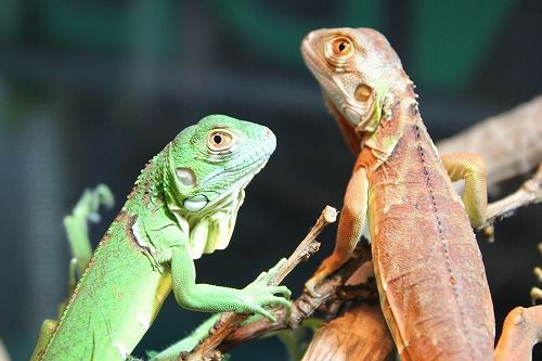 まだ入荷が続きます！！ : CANDLEブログ