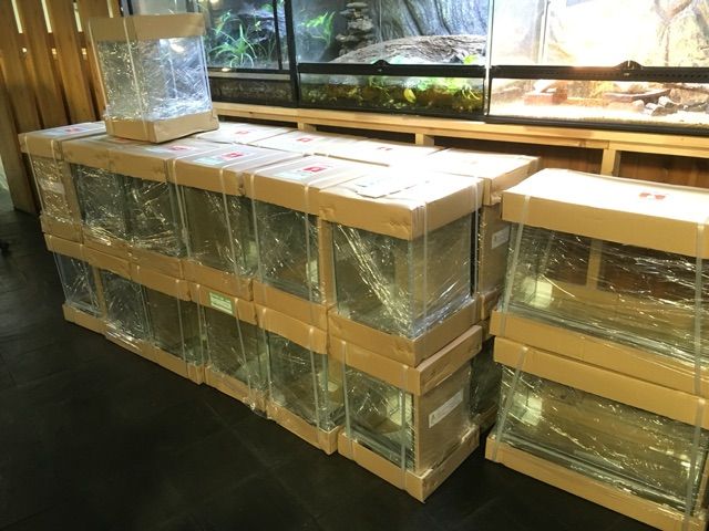 お待たせしました!パルダリウムケージ3045入荷! : CANDLEブログ お待たせしました!パルダリウムケージ3045入荷! : CANDLEブログ