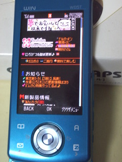 IMGP8559