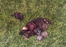 ghgh