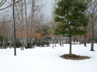 写真00004