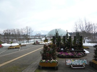 写真00002