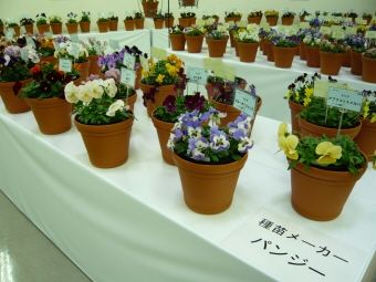 写真00010