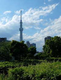 DSCF1254