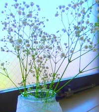 DSCF4040