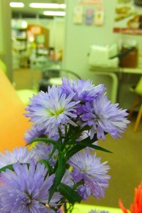DSCF4355