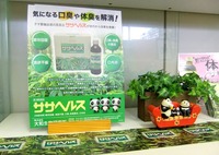 DSCF4227
