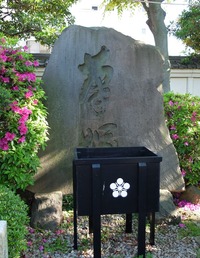 DSCF1247