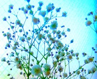 DSCF4041