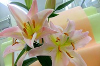 DSCF4045