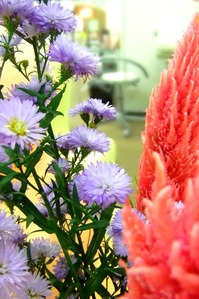 DSCF4356