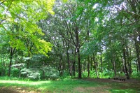 DSCF4221