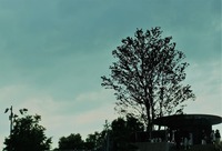 DSCF4003