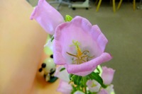 DSCF3959